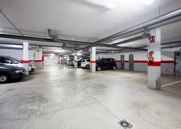 Mar Romantic A21 パルム・マール